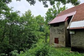 Gorski kotar - Ravna Gora - kuća, Ravna Gora, House