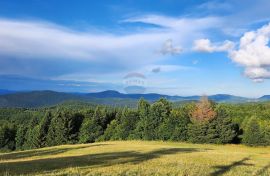 Gorski kotar, Delnice - jedinstvena nekretnina u RH, Planinski centar Petehovac, Delnice, Commercial property