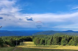 Gorski kotar, Delnice - jedinstvena nekretnina u RH, Planinski centar Petehovac, Delnice, Commercial property