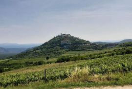 Istra, Motovun idiličan građevinsko poljoprivredni teren, Motovun, Земля