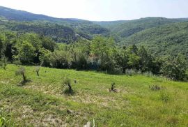 Istra, Motovun idiličan građevinsko poljoprivredni teren, Motovun, Земля