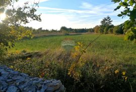 SVETVINČENAT OKOLICA, veliko građevinsko zemljište na osami, Svetvinčenat, Land