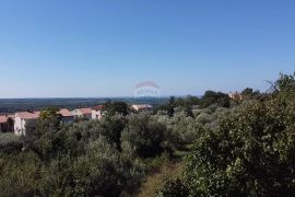 Istra, Kaštelir - Građevinsko zemljište s pogledom na more, Kaštelir-Labinci, Tierra