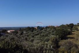 Istra, Kaštelir - Građevinsko zemljište s pogledom na more, Kaštelir-Labinci, Tierra