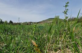 Gorski Kotar - Vrbovsko - građevinski teren, Vrbovsko, Land