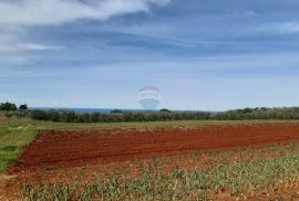 Istra, Kaštelir građevinska parcela sa pogledom na more 796m2, Kaštelir-Labinci, Zemljište