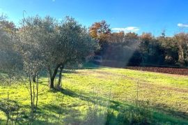 Istra,Umag okolica,građevinske parcele !, Umag, Terrain