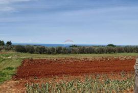 Istra, Kaštelir građevinska parcela sa pogledom na more 796m2, Kaštelir-Labinci, Arazi