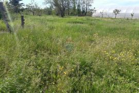 Istra, Kaštelir građevinska parcela sa pogledom na more 796m2, Kaštelir-Labinci, Arazi