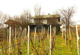 Brckovljani, Martinščina, kuća i vinograd, Brckovljani, بيت