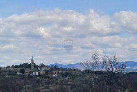 Istra, Momjan-okolica, istarsko imanje za adaptaciju od 95.000 m2, Buje, Casa