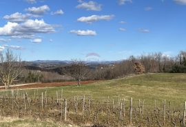 Istra, Vižinada - okolica, građevinsko zemljište otvorenog pogleda na prirodu, Vižinada, Land