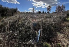 Istra, Vižinada - okolica, građevinsko zemljište otvorenog pogleda na prirodu, Vižinada, Land