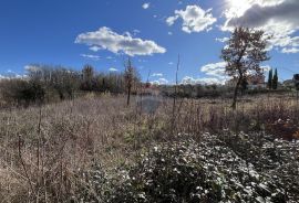 Istra, Vižinada - okolica, građevinsko zemljište otvorenog pogleda na prirodu, Vižinada, Land