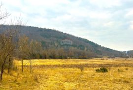 Poljoprivredno zemljište, Istra, Grožnjan, Grožnjan, Arazi