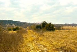 Poljoprivredno zemljište, Istra, Grožnjan, Grožnjan, Arazi