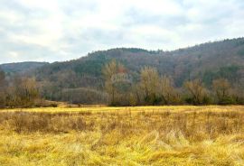 Poljoprivredno zemljište, Istra, Grožnjan, Grožnjan, Arazi