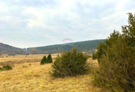 Poljoprivredno zemljište, Istra, Grožnjan, Grožnjan, Arazi