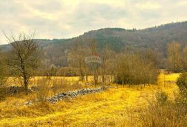 Poljoprivredno zemljište, Istra, Grožnjan, Grožnjan, Arazi