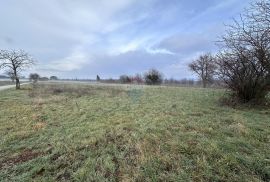 Istra, okolica Barbana, građevinsko zemljište, Barban, Land