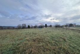 Istra, okolica Barbana, građevinsko zemljište, Barban, Land