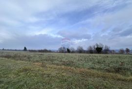 Istra, okolica Barbana, građevinsko zemljište, Barban, Land