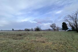 Istra, okolica Barbana, građevinsko zemljište, Barban, Land