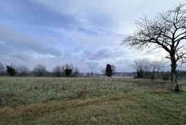 Istra, okolica Barbana, građevinsko zemljište, Barban, Land