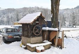 Gornja Pušća, kuća s više stanova, mogućnost opg-a, Pušća, Famiglia