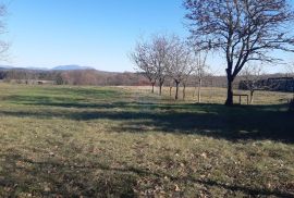 Istra, Pazin okolica građevinska parcela 1975m2, Pazin - Okolica, Zemljište