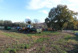 POREČ-građevinska parcela na rubu građevinske zone, Poreč, Terra