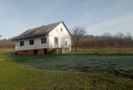 Ogulin-okolica, imanje na parceli 19000 m2, Josipdol, Casa