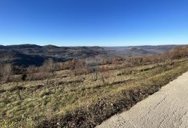 Motovun - okolica, građevinsko-poljoprivredno zemljište predivnog otvorenog pogleda, Pazin - Okolica, Terra