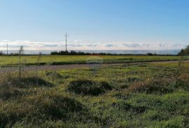 ISTRA, KAŠTELIR- parcela s panoramskim pogledom na more, Kaštelir-Labinci, أرض