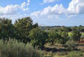 Poreč okolica: Moderna dvojna kuća, 4,5 km od Poreča, Poreč, Haus