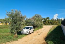 Poreč okolica: Nova moderna dvojna kuća, pogled more, Poreč, Maison