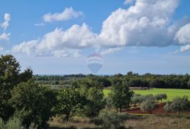 Poreč okolica: Nova moderna dvojna kuća, pogled more, Poreč, Maison