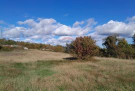 Istra,Filipana, građevinsko zemljište, Marčana, Terrain