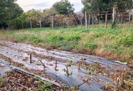 Istra, Valtura, građevinsko zemljište s ucrtanim objektima, Ližnjan, Γη