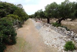 MALI LOŠINJ - ĆUNSKI - građevinski teren sa kućom + negrađevinski, Mali Lošinj, Land