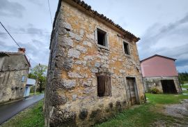 Istra, Buzet, Ročko polje - dvije samostojeće kamene kuće, Buzet, Kuća