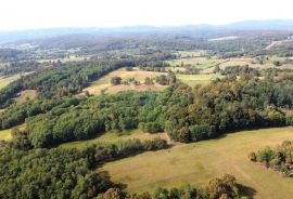 SISAK okolica, jedinstveno izletište na 32ha zelenila, Sisak - Okolica, Propriété commerciale