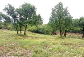 Istra, Kaštel - Buje, građevinski teren stambene namjene, Buje, Land