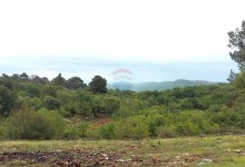 Istra, Kaštel - Buje, građevinski teren stambene namjene, Buje, Land