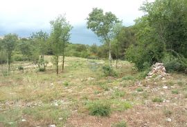 Istra, Kaštel - Buje, građevinski teren stambene namjene, Buje, Land