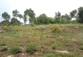 Istra, Kaštel - Buje, građevinski teren stambene namjene, Buje, Land