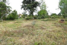 SV. LOVREČ, okolica- građevinsko zemljište s projektom, Sveti Lovreč, أرض