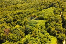 Veliko građevinsko zemljište za turističko-rekreacijski kompleks, Vojnić, Land