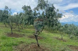 Istra, Pazin, negrađevinsko zemljište jezero Butoniga, Cerovlje, Terra