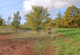 Istra, Žminj, Građevinsko zemljište na lijepoj lokaciji, površine 1171m2, Žminj, Tierra